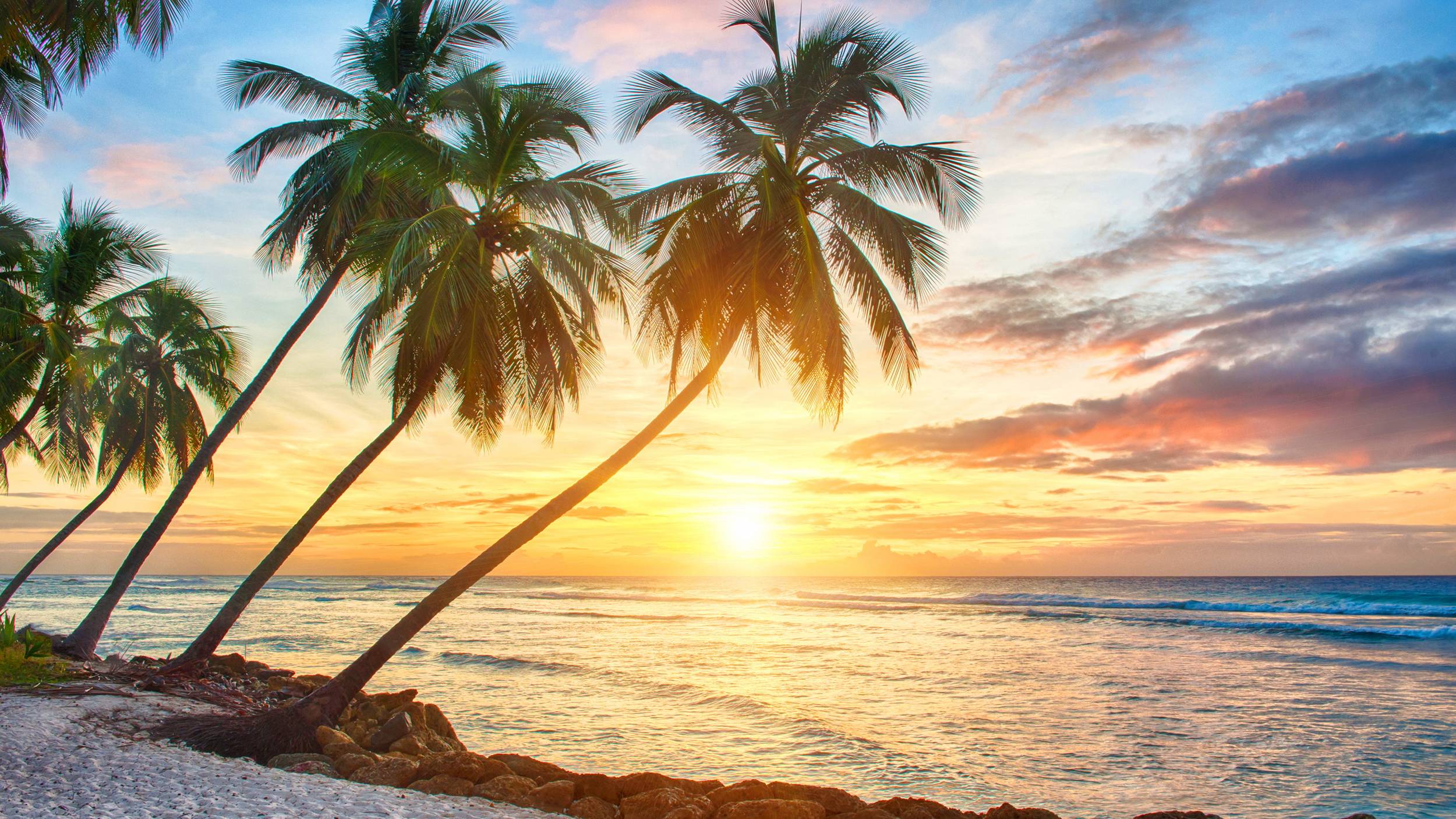 2500x1406 Tropical Sunset Wallpaper, Jenni Rubinstein
