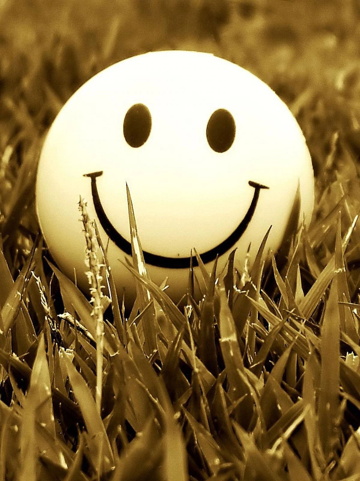 1200x1600 Whatsapp dp Wallpaper Download