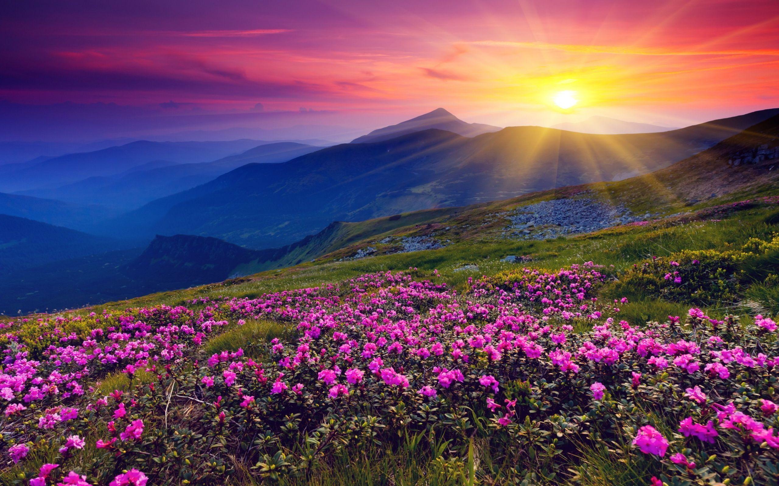 Mountain Sunset Wallpapers Top Free Mountain Sunset Backgrounds