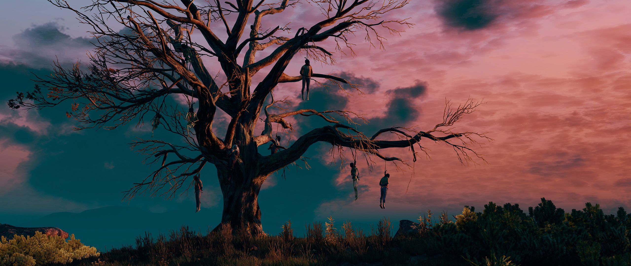 2560x1080 Download wallpaper The Witcher, The Witcher 3:Wild Hunt, the gallows tree, section games in resolution 2560x1080