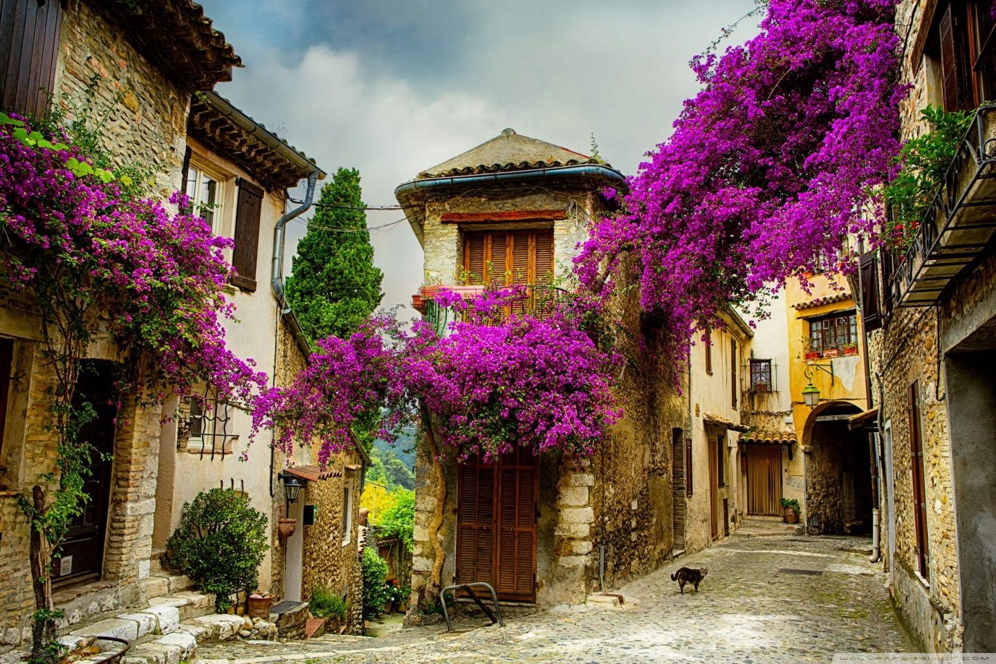 1440x960 European Architecture Ultra HD Desktop Background Wallpaper for 4K UHD TV : Widescreen & UltraWide Desktop & Laptop : Tablet