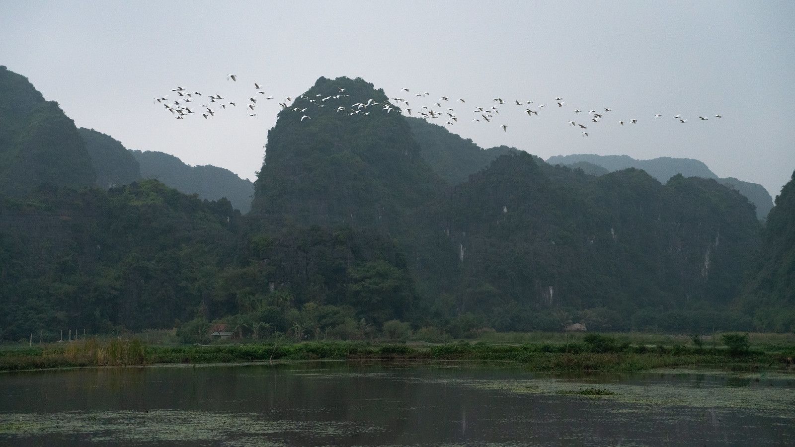 1600x900 Ninh Bình. Exploring the nature and beauty of Vie