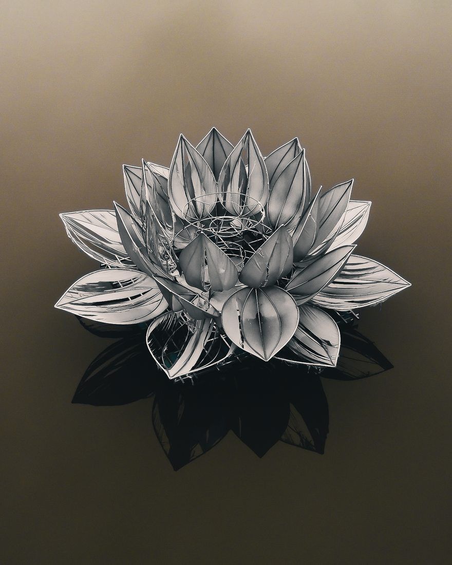880x1100 Lotus Flower Fountain Ninh Binh [Drone], Vietnam