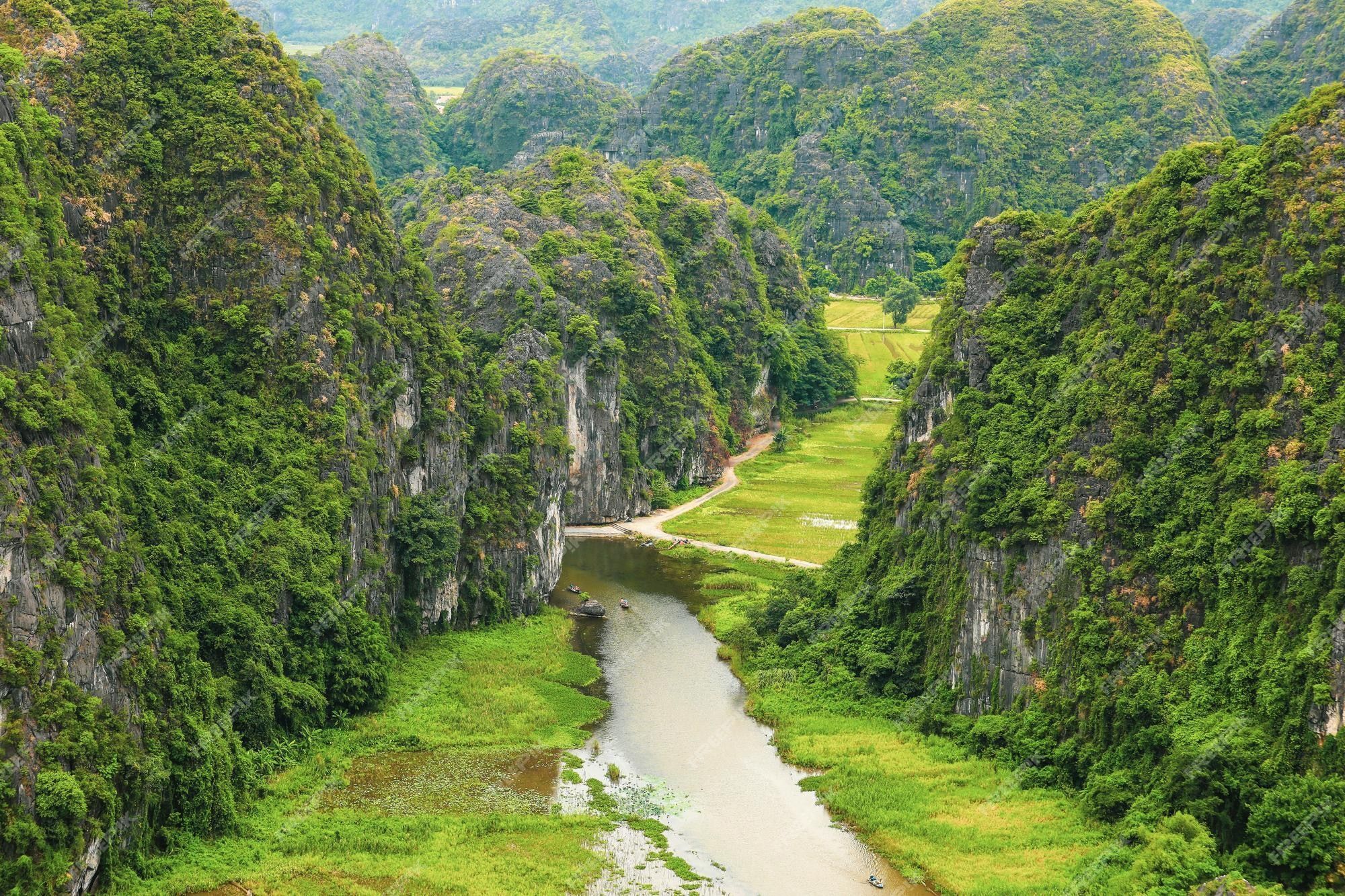 2000x1333 Premium Photo. View of rice field and river in tam coc tam coc is one of the destination of ninh binh province in vietnam