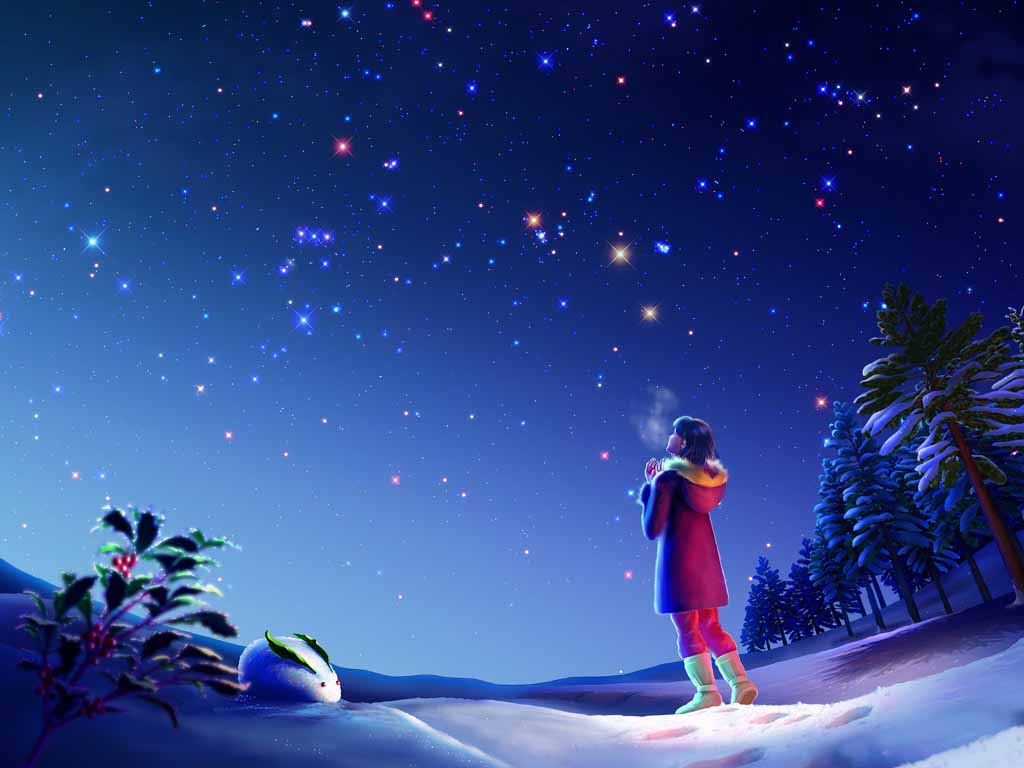 1024x768 Night Snowfall Wallpaper