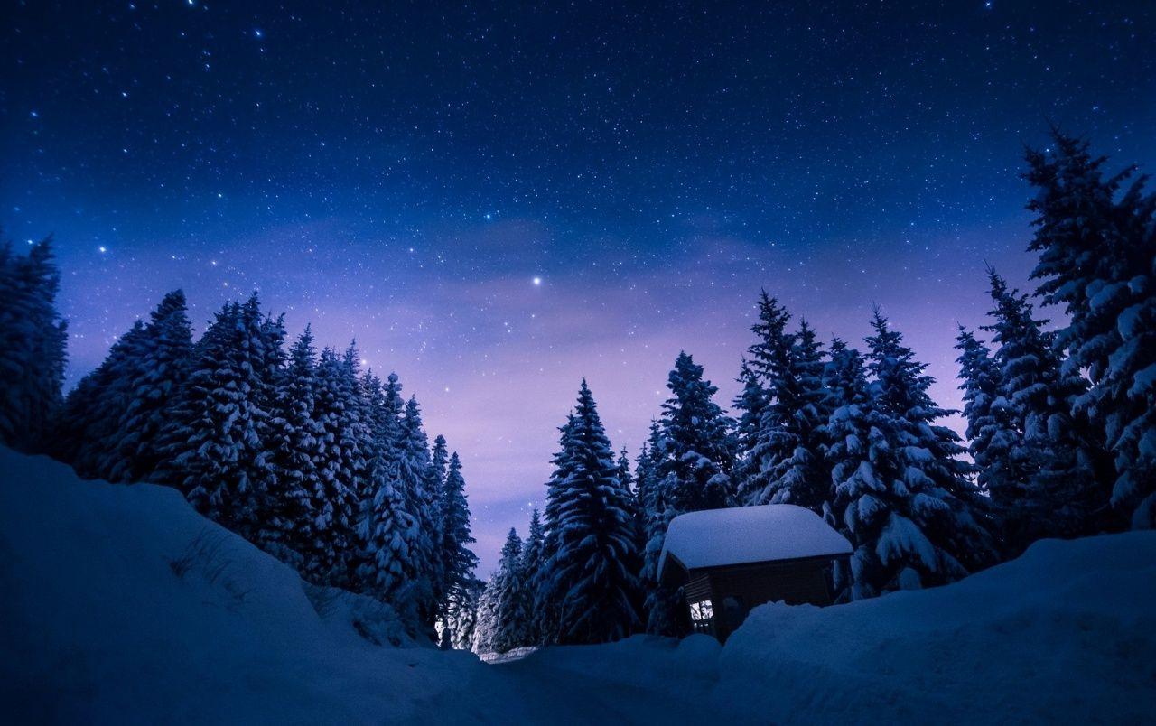 1280x804 Stars Night Snow Forest House wallpaper. Stars Night Snow Forest House