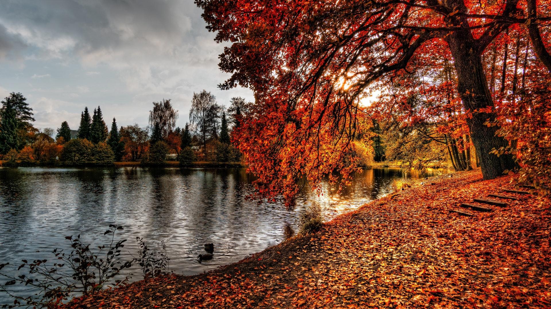 1920x1077 Best Autumn Wallpaper 2018 Wallpaper. Download HD
