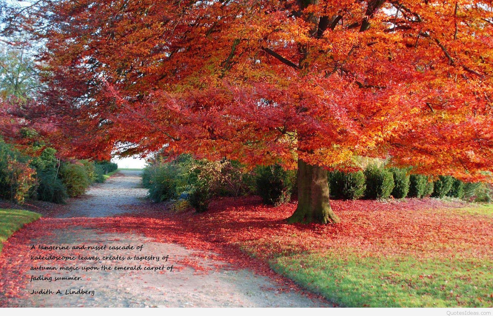 1600x1027 top wallpaper autumn