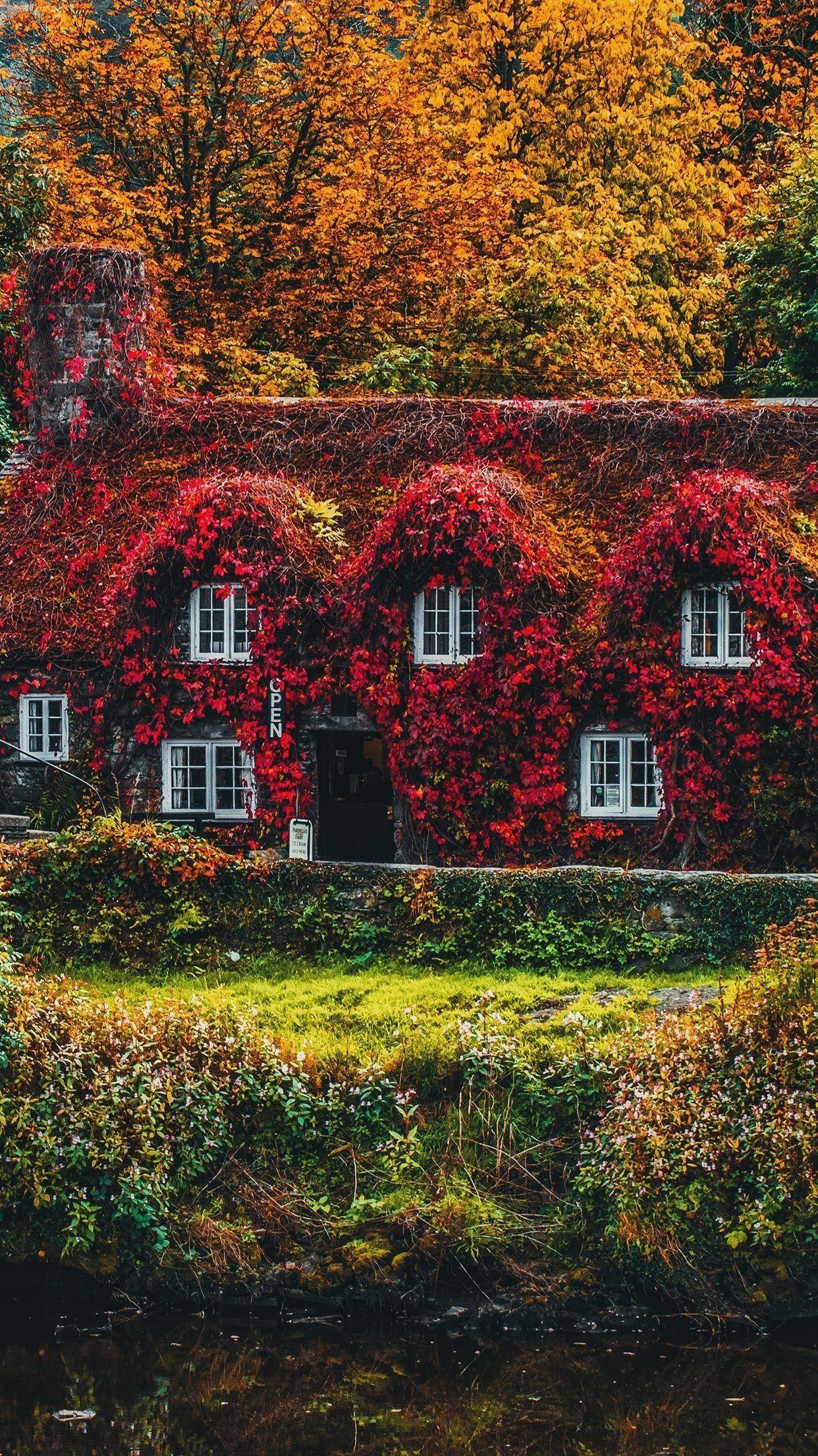 1242x2208 The Best Fall iPhone Xs Wallpaper Great Autumn Background