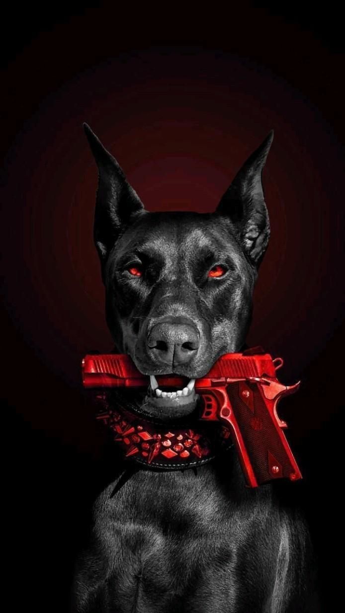 694x1234 Spiritual Instinct. Scary dogs, Black doberman, Pitbull art