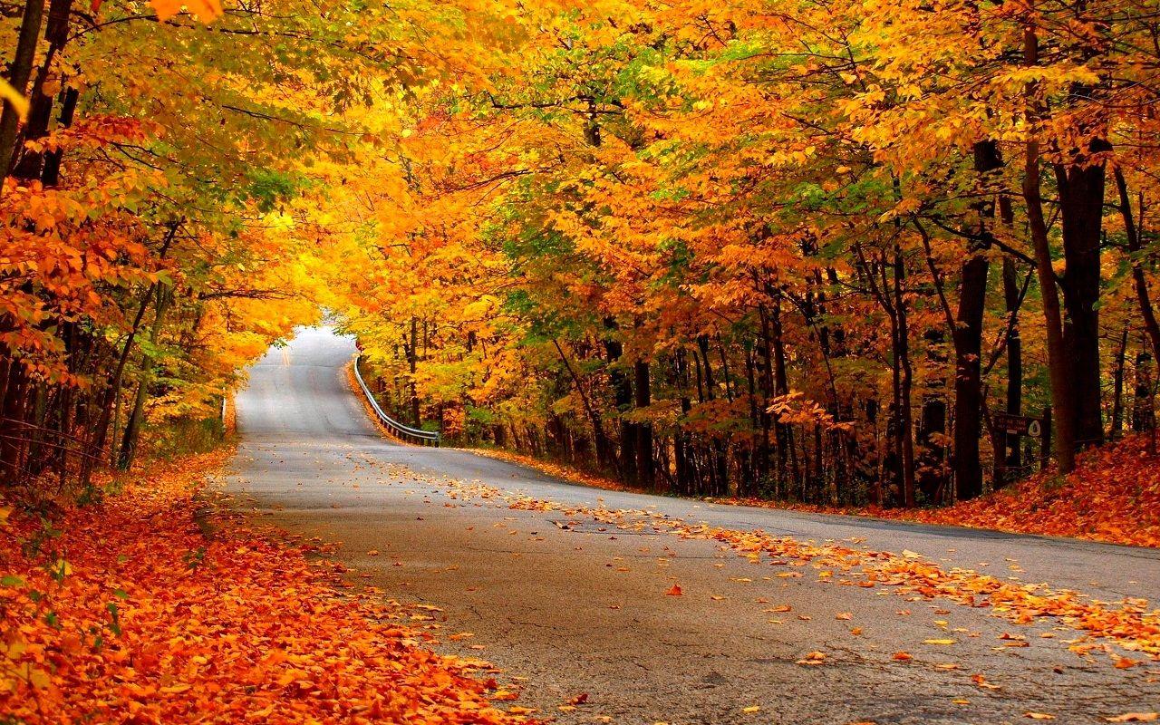 1280x800 Autumn Wallpaper Best Wallpaper 1280x800