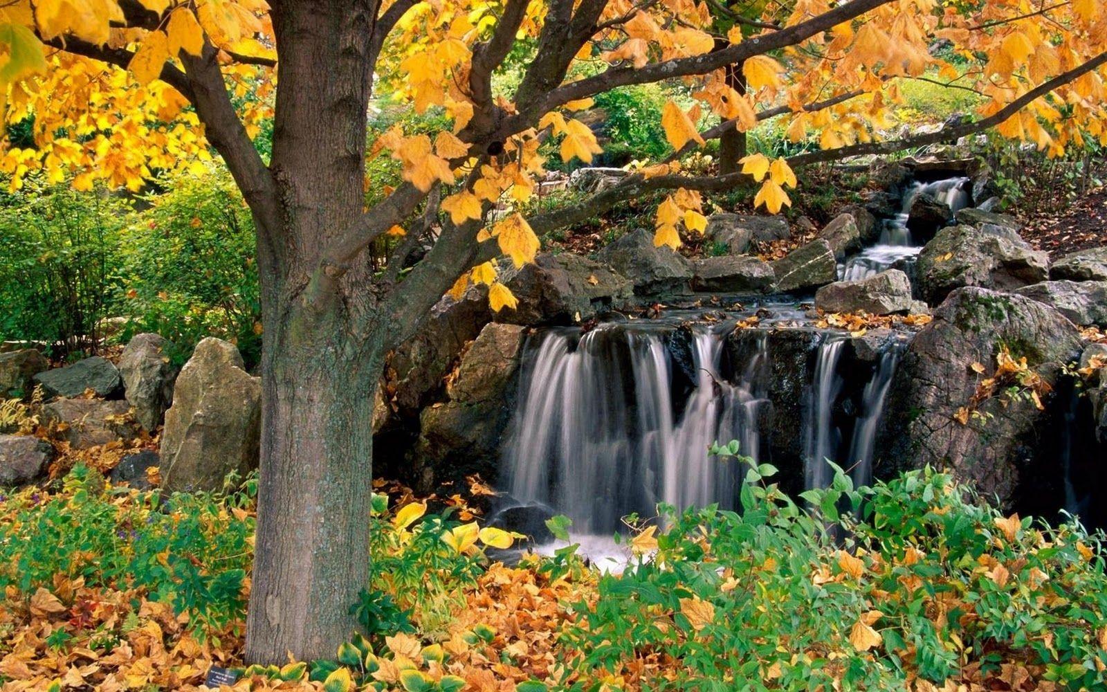 1600x1000 Best Desktop HD Wallpaper Autumn Wallpaper, Fall Desktop