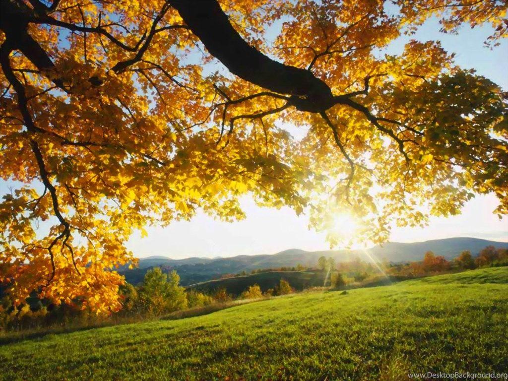 1024x768 Autumn Wallpaper Best Wonderful Fullwidehd.com Desktop