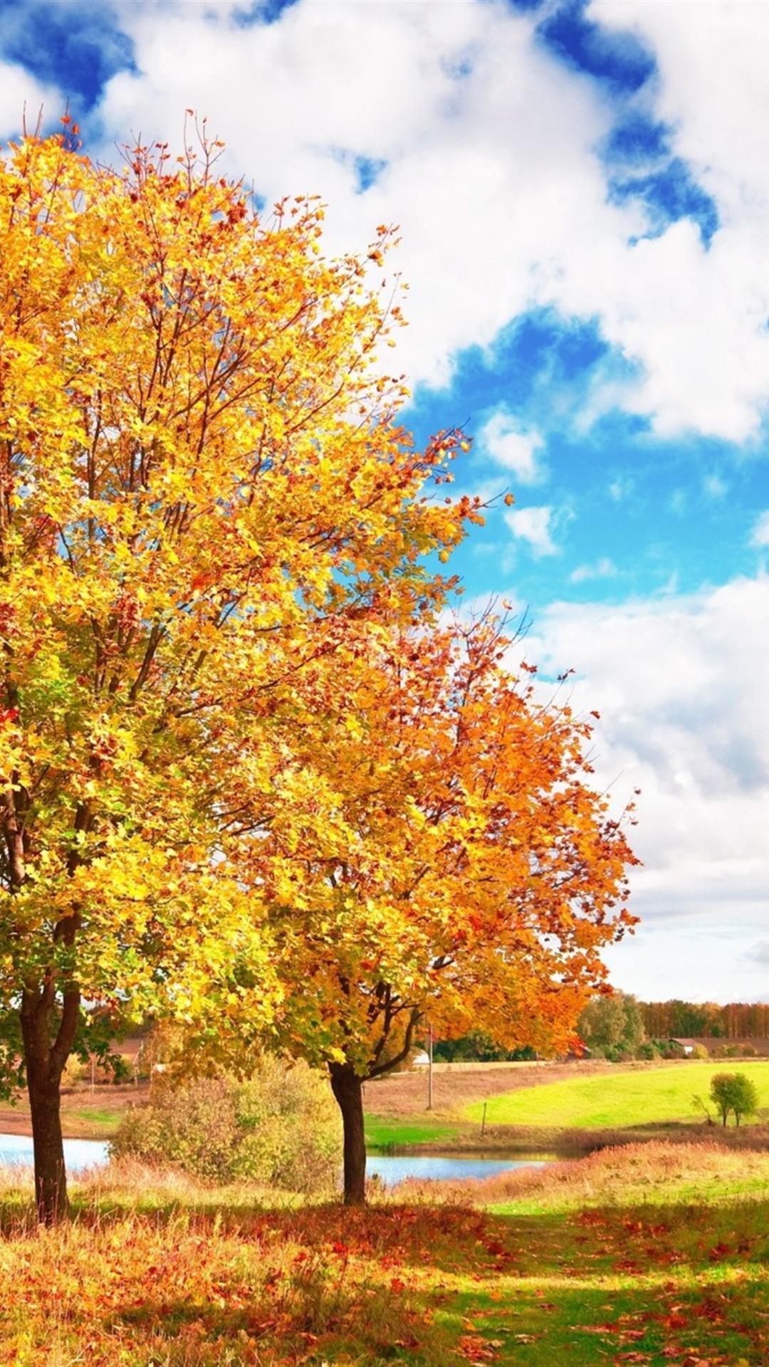 1080x1920 Autumn Wallpaper Widescreen Hupages Download iPhone