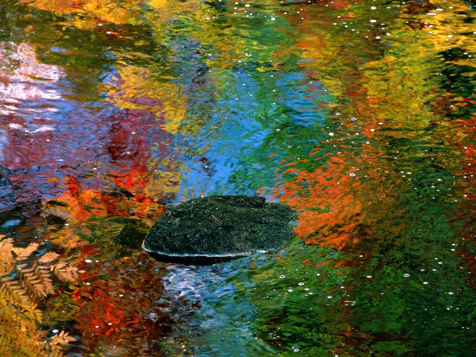 1600x1200 The Best Top Autumn Desktop Wallpaper 28