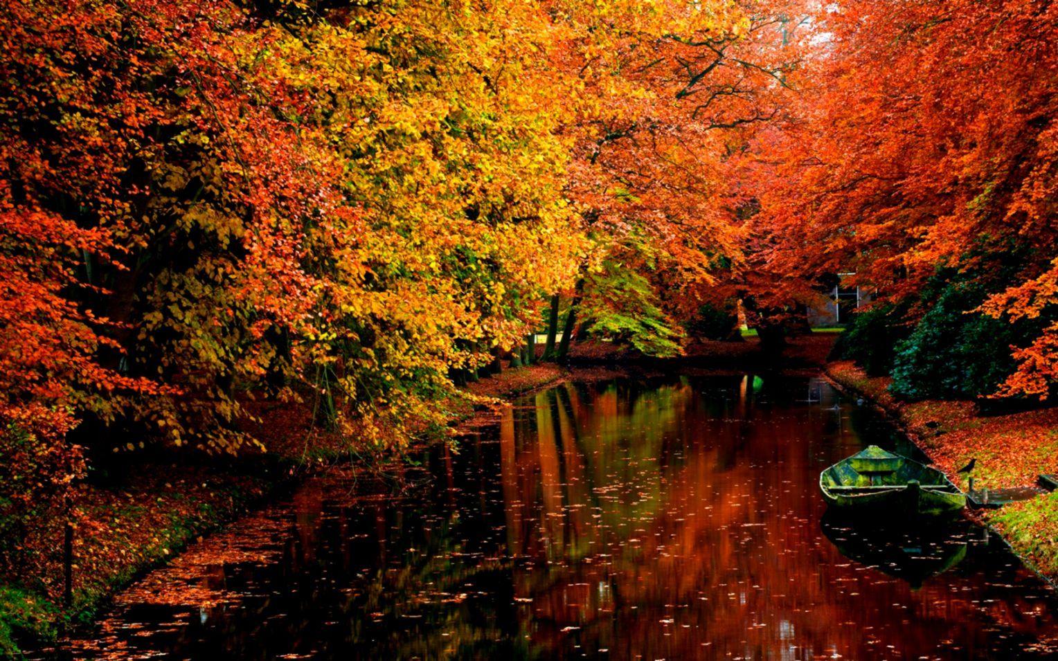 1528x955 Autumn Desktop Wallpaper Windows 7