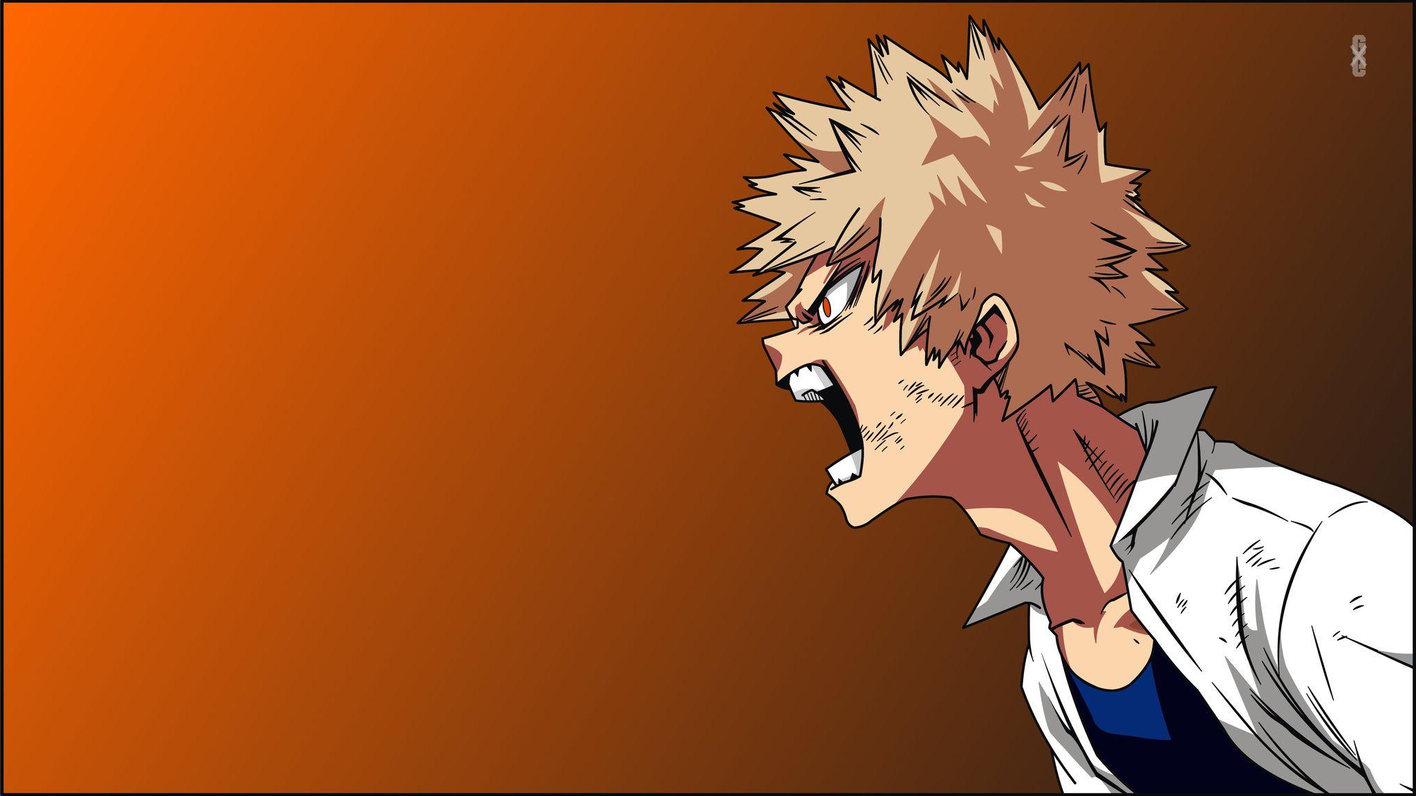 2048x1152 Boku No My Hero Academia 2048x1152 Resolution HD
