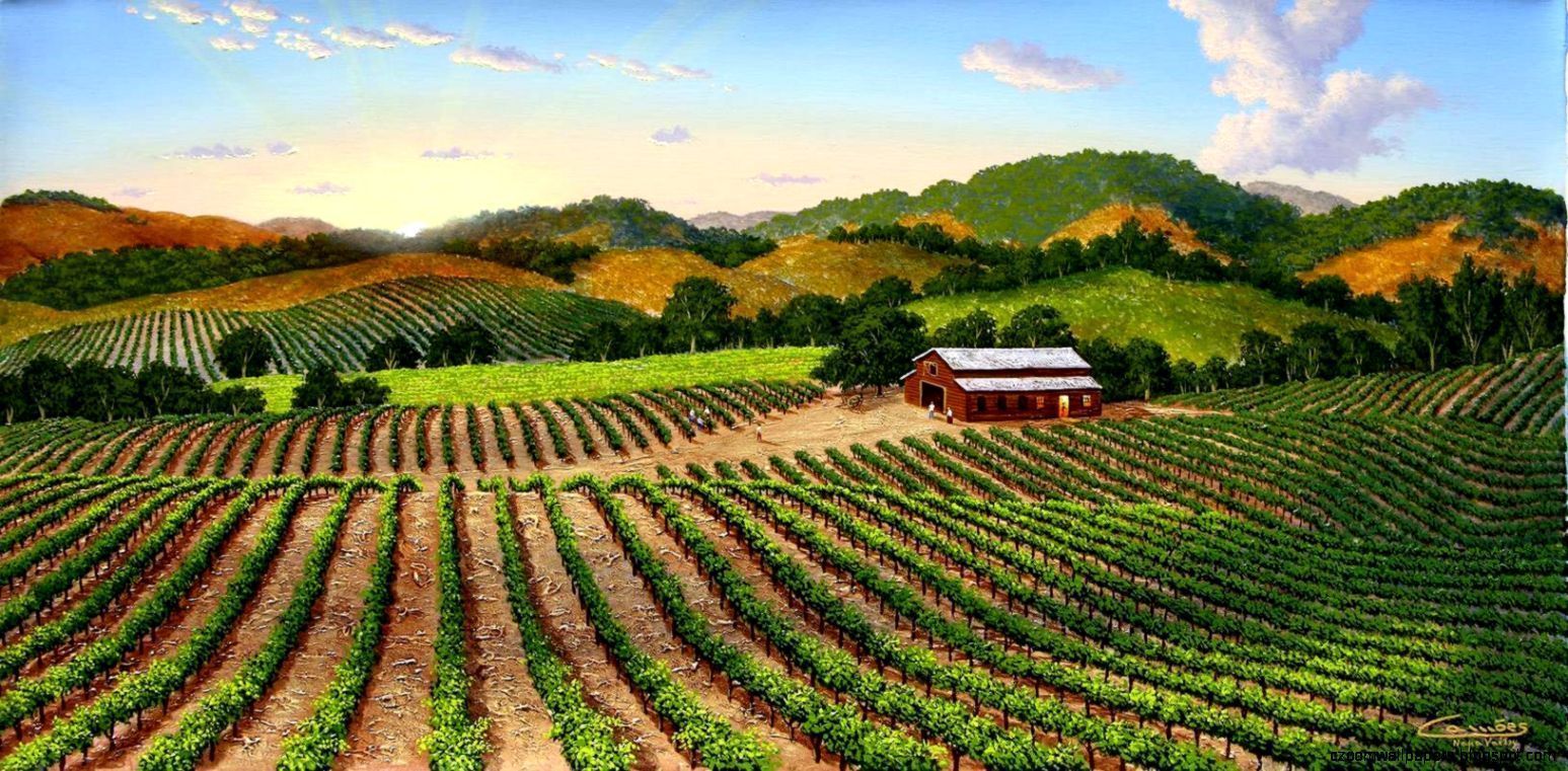1547x761 Napa Valley Wallpaper