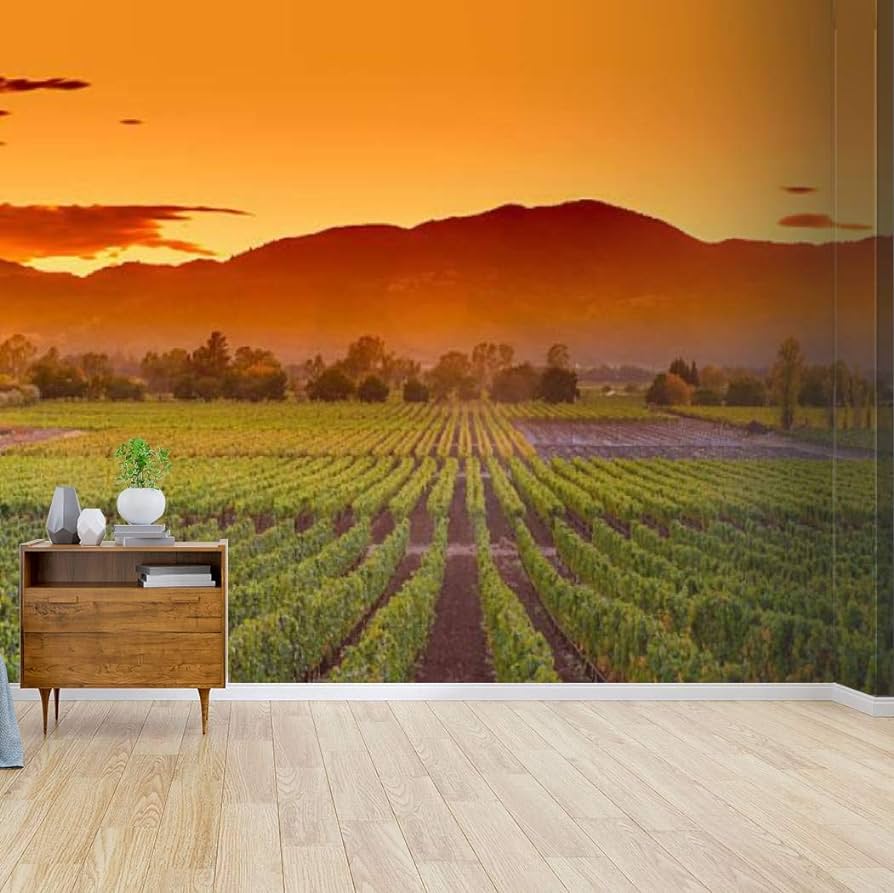 894x893 Napa Valley California Wine Country Vineyard Field Harvest for Winery Canvas Print Wallpaper Wall Mural Self Adhesive Peel & Stick Wallpaper Home Craft Wall Decal Wall Poster Sticker for Living Room