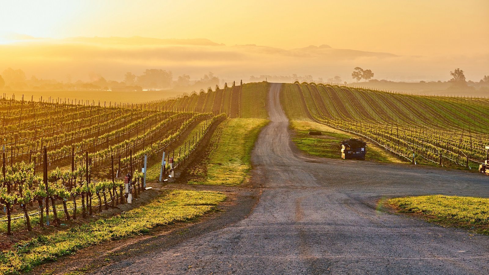 1600x900 Napa Valley Wallpaper