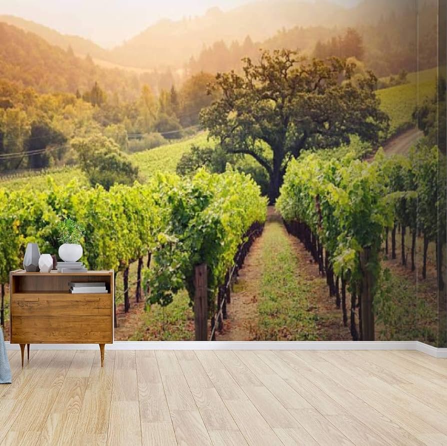 894x893 napa Valley California Wine Country Vineyard Field Harvest for Winery Canvas Print Wallpaper Wall Mural Self Adhesive Peel & Stick Wallpaper Home Craft Wall Decal Wall Poster Sticker for Living Room