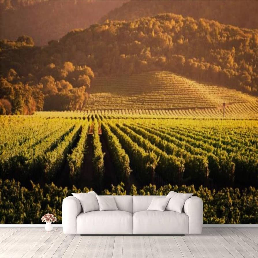 894x894 3D Wallpaper Napa Valley Grape Vineyard Landscape of California Field Vine Crop Self Adhesive Bedroom Living Room Dormitory Decor Wall Mural Stick and Peel Background Wall Ceiling Wardrobe Sticker