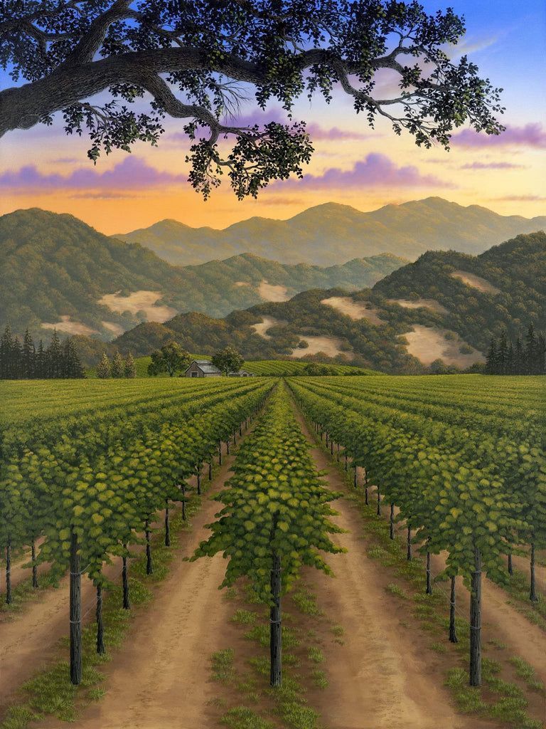 768x1024 Napa Valley Vineyard by Patrick O'Rourke