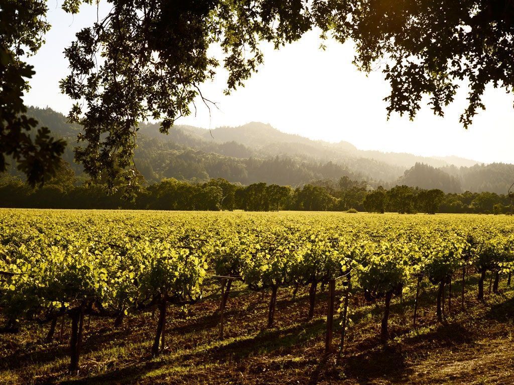 Napa Valley Wallpapers - Top Free Napa Valley Backgrounds - WallpaperAccess