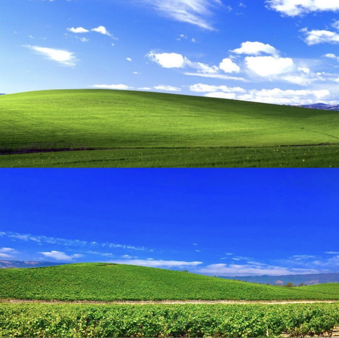 1125x1120 Napa Valley Is Home To The Windows XP Desktop Background. I Visited The Spot Last Year. The Top Half Is The Original, Bottom Half Is My Version. : R Interestingasf*ck