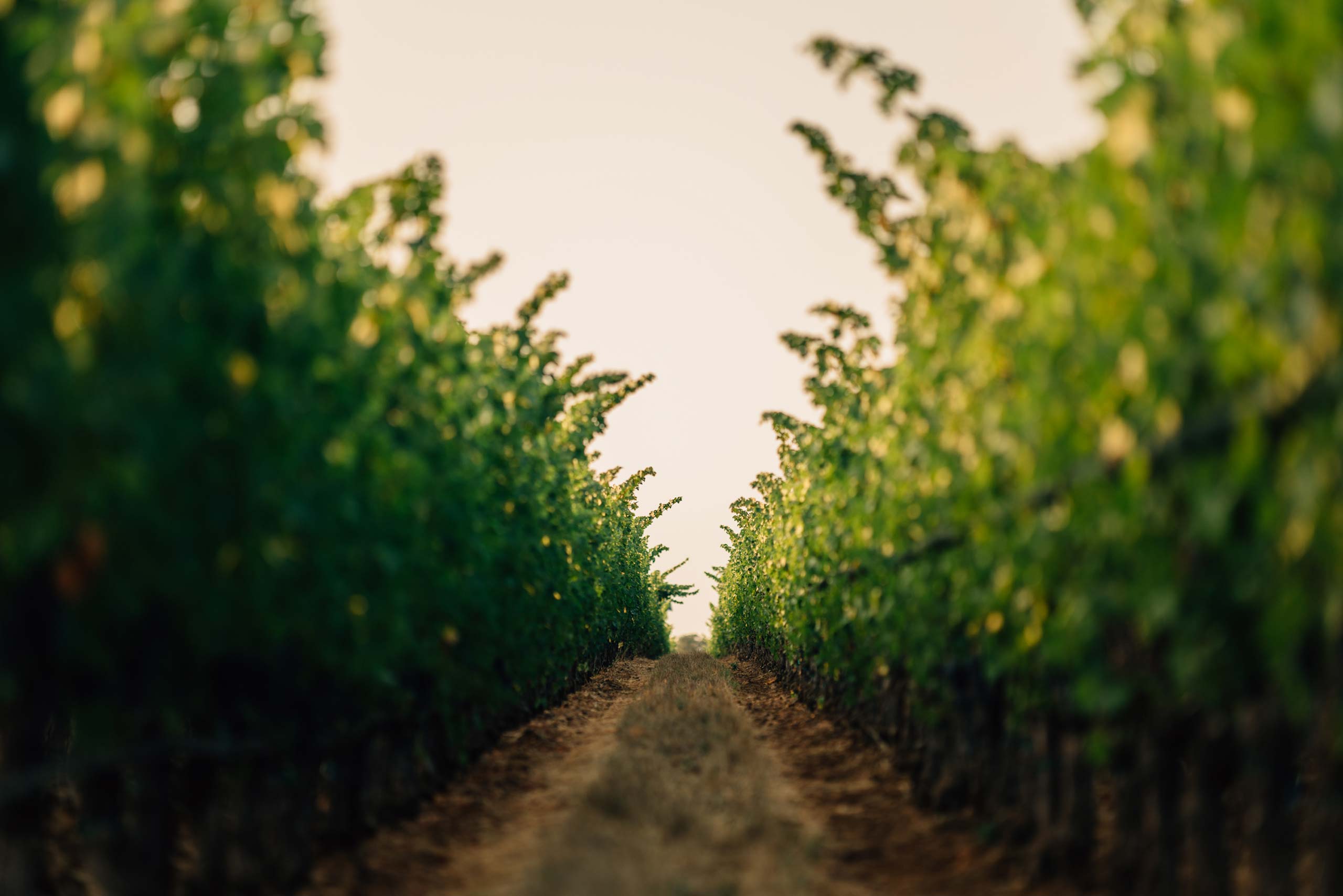2560x1708 Place Napa Valley