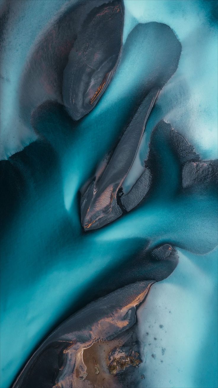 736x1308 Wallpaper