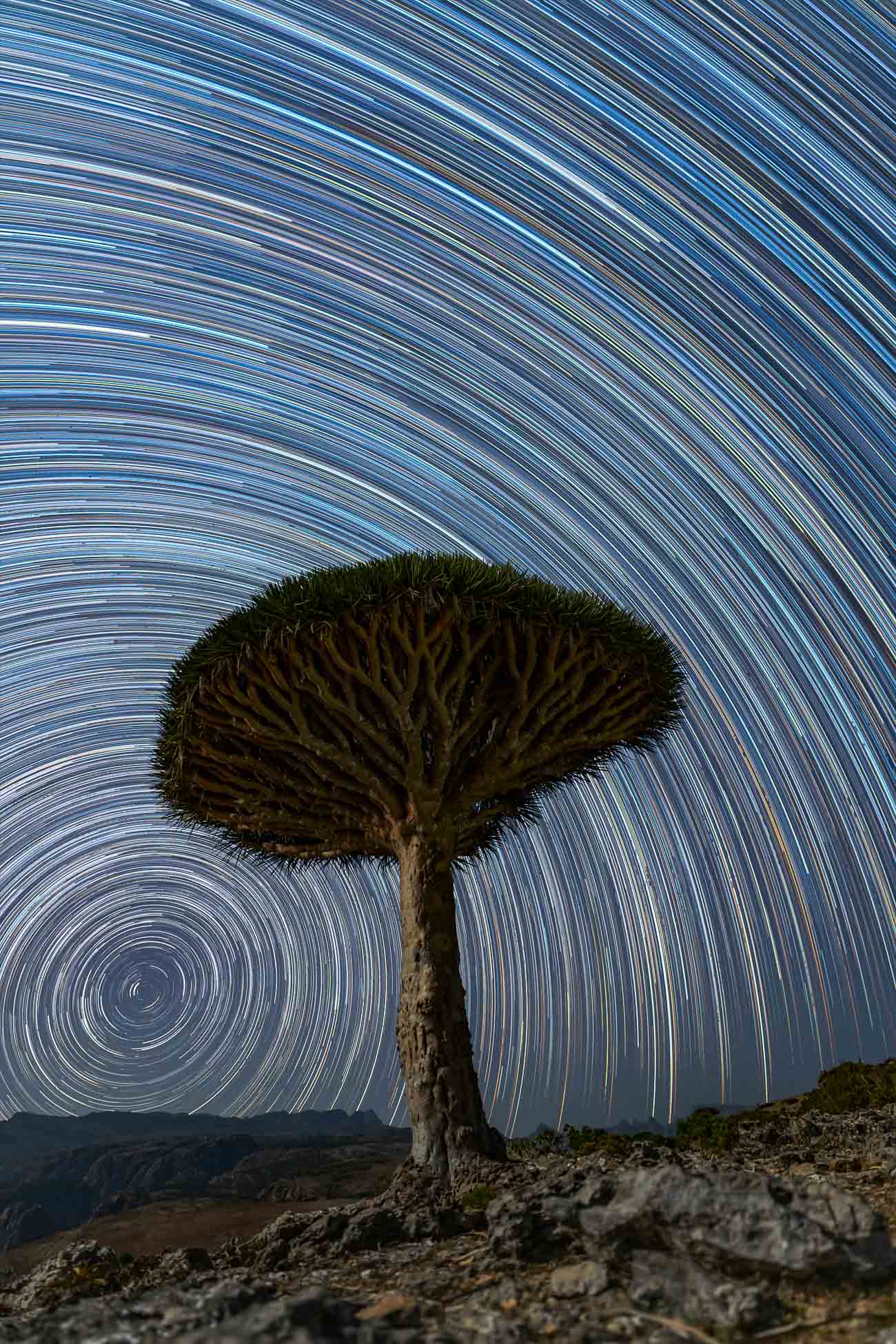 1300x1950 Trails of Socotra & Telescope & Telescope