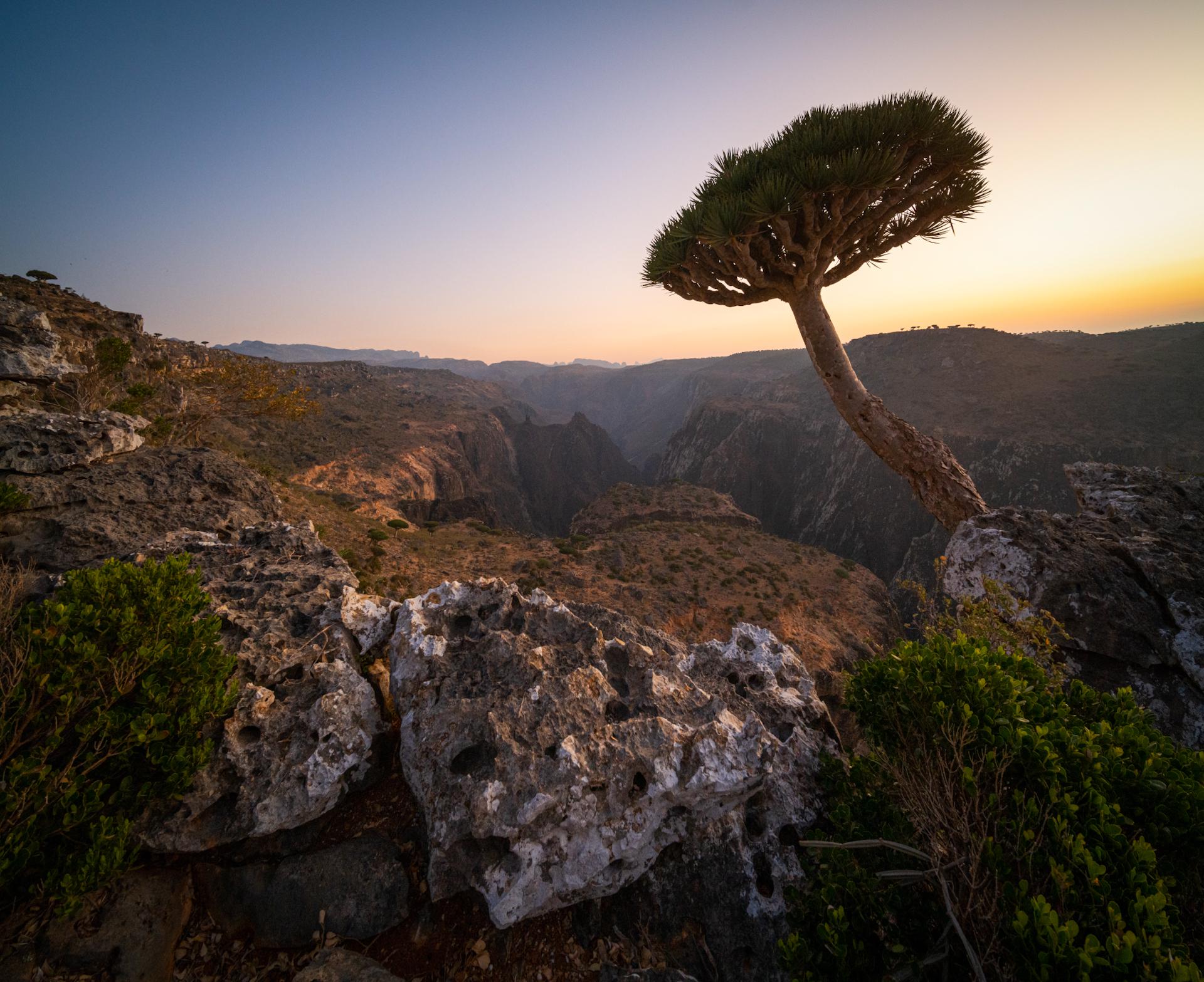 1920x1567 the wonderful landscape of Socotra [1920x OC, Socotra Island, Yemen]
