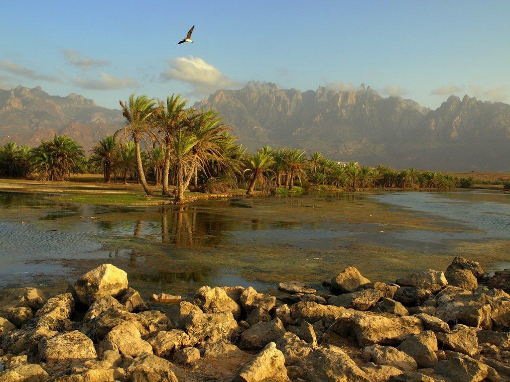 1024x768 Far Away Socotra Island, Yemen. View Large On Black