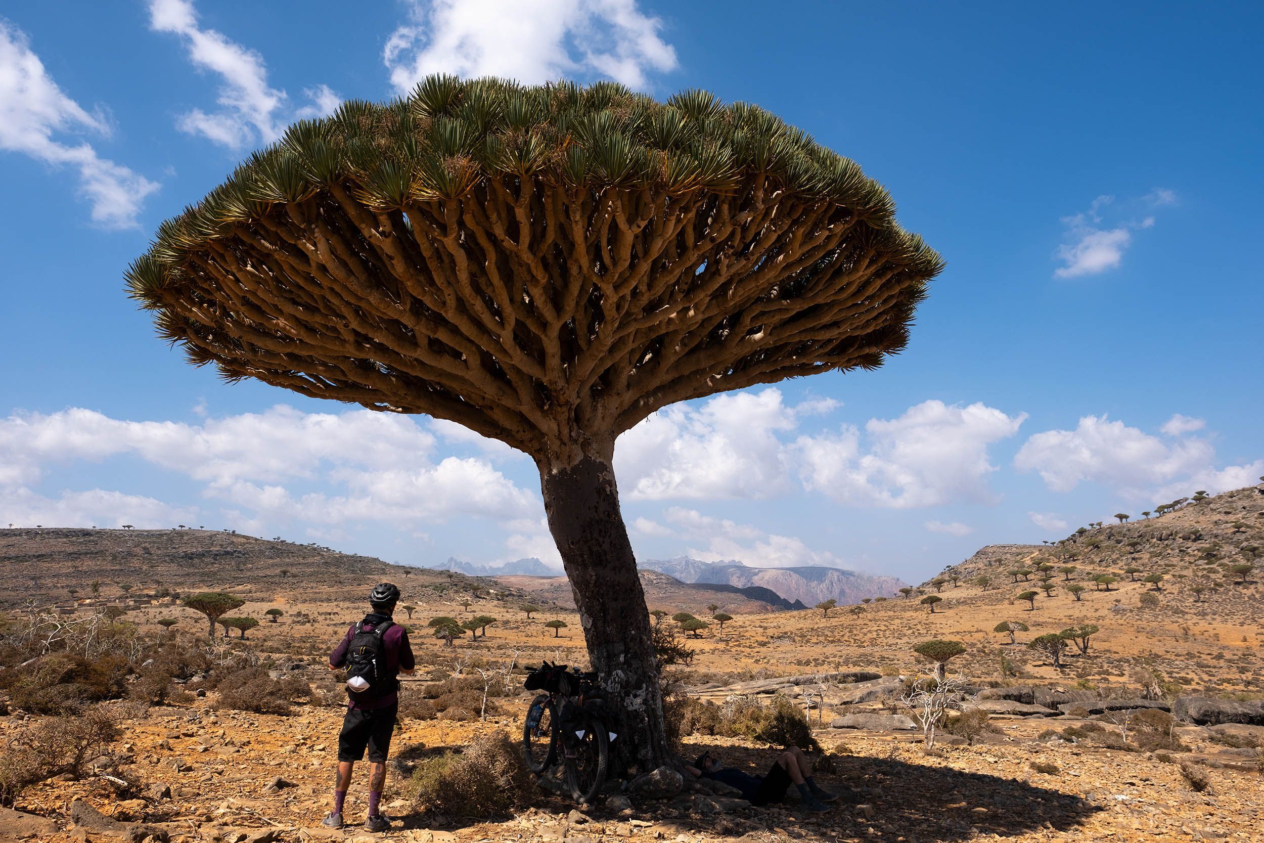 2500x1667 Bikepacking Socotra (Film)