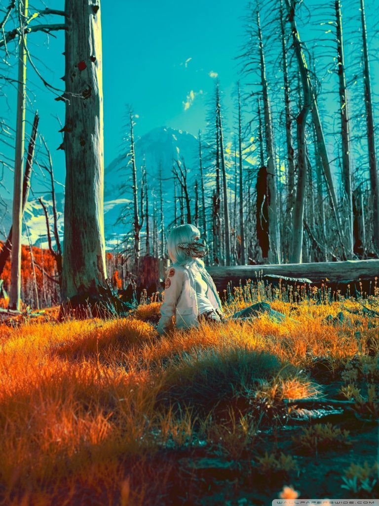 768x1024 A Quiet Place Infrared Photography Ultra HD Desktop Background Wallpaper for 4K UHD TV : Widescreen & UltraWide Desktop & Laptop : Tablet