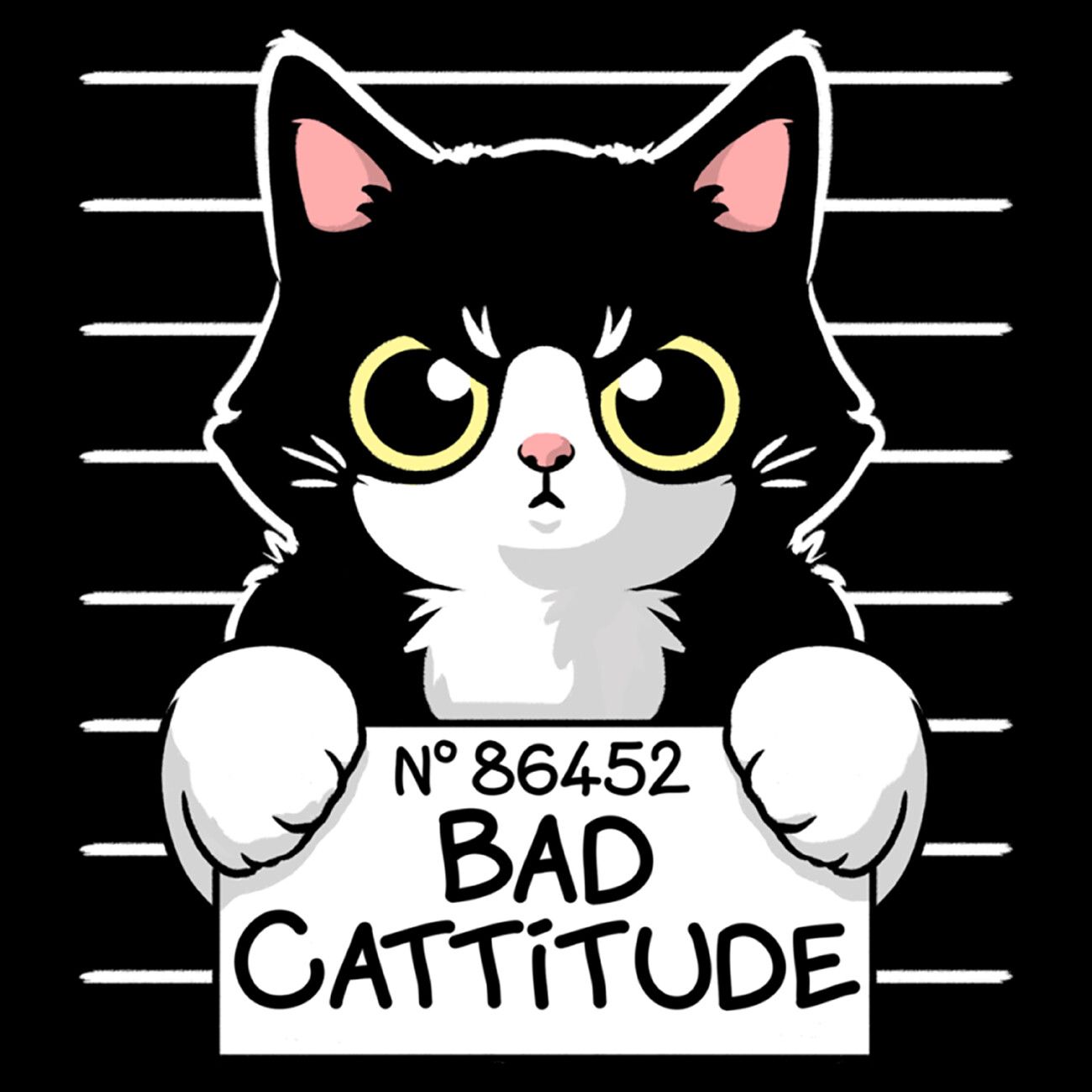 Bad Cat Wallpapers - Top Free Bad Cat Backgrounds - WallpaperAccess