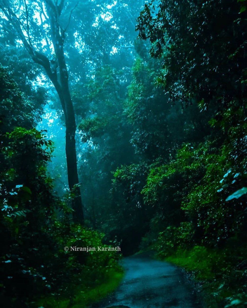 1030x1283 Chikmagalur ideas. western ghats, india travel places, india travel