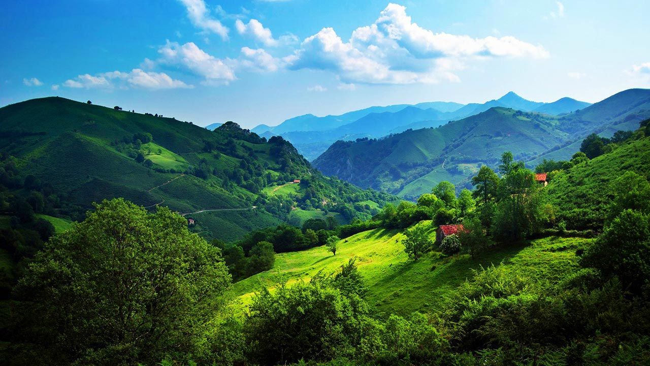 1280x720 How to Reach Chikmagalur? Coffee Grove Resort