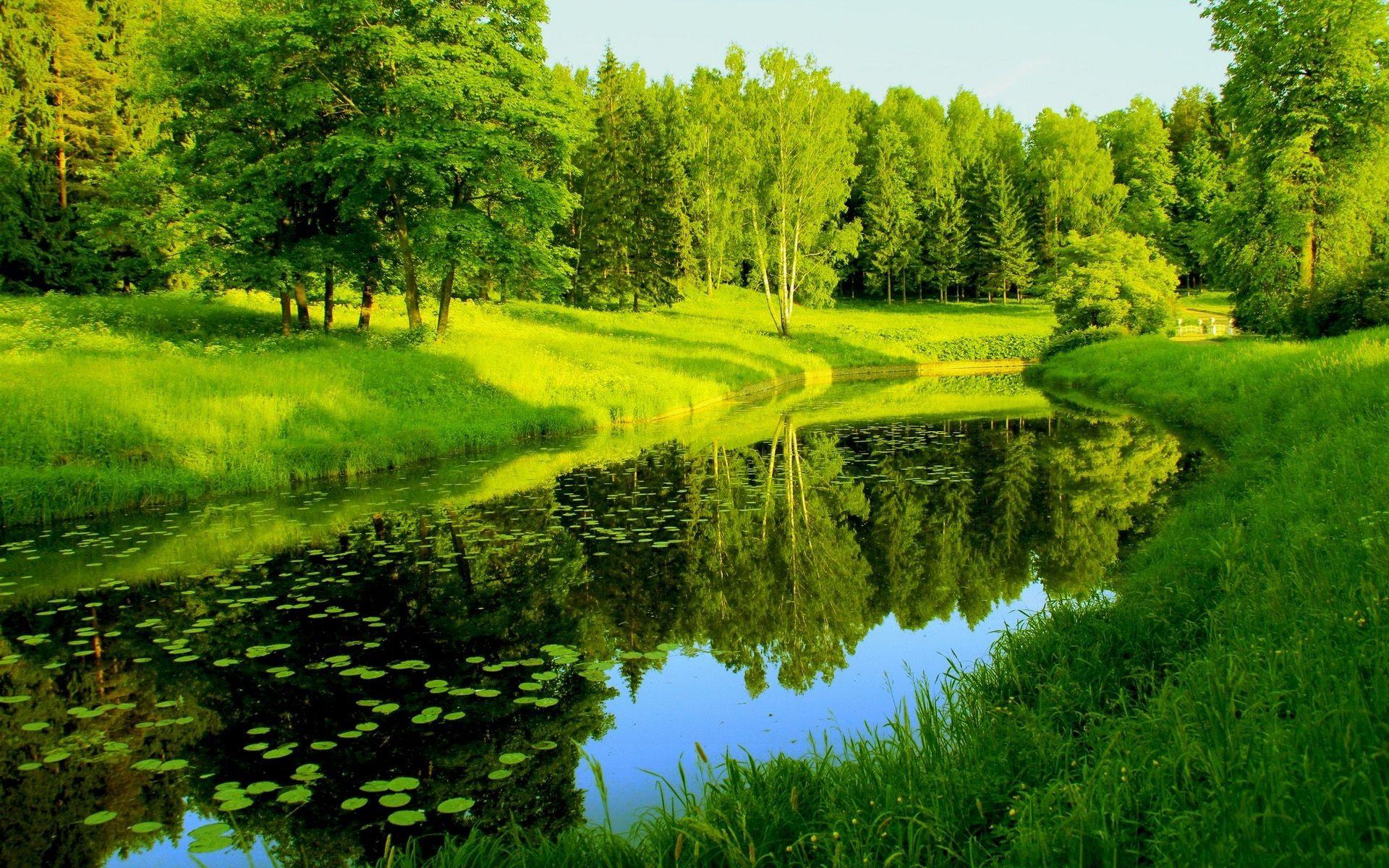 Green Landscape Wallpapers Top Free Green Landscape Backgrounds 