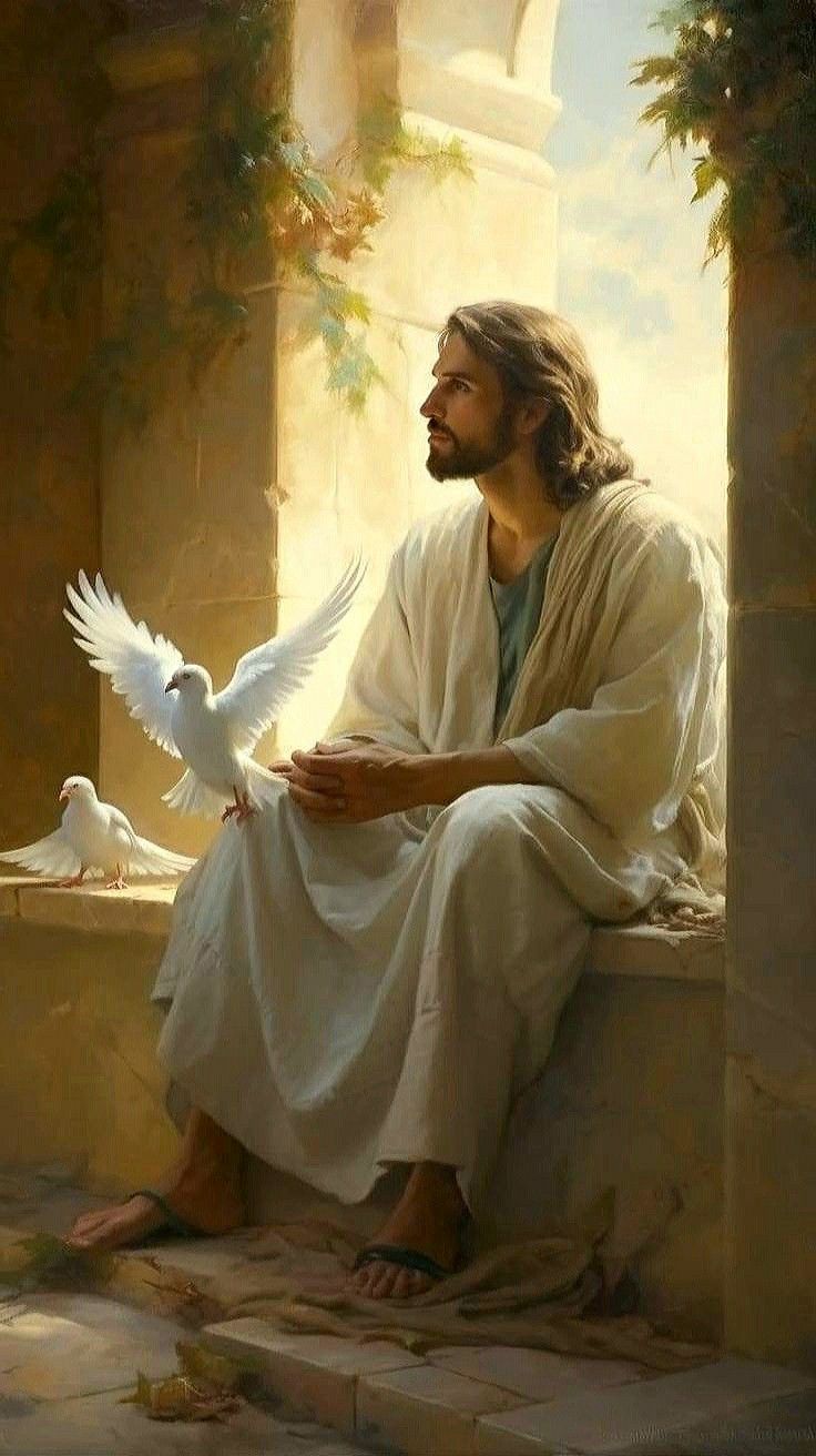 736x1312 Jesus Christ Died For Us: Passion of The Christ Edit ∙ John 3:16 Best Jesus After Dark Edit. Jesus christ artwork, Jesus artwork, Jesus