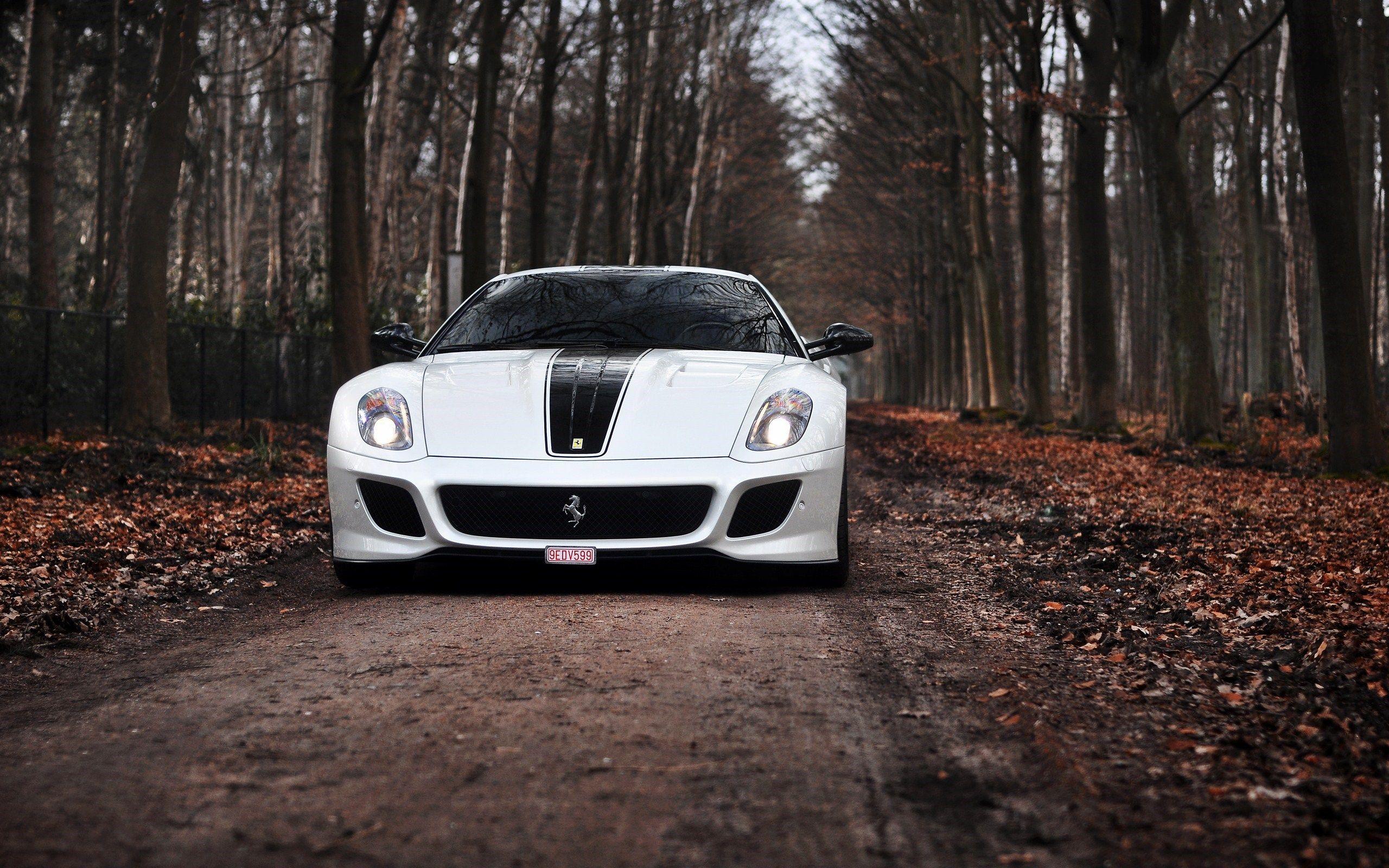 2560x1600 White Ferrari 599 GTO Road Forest Autumn wallpaperx1600