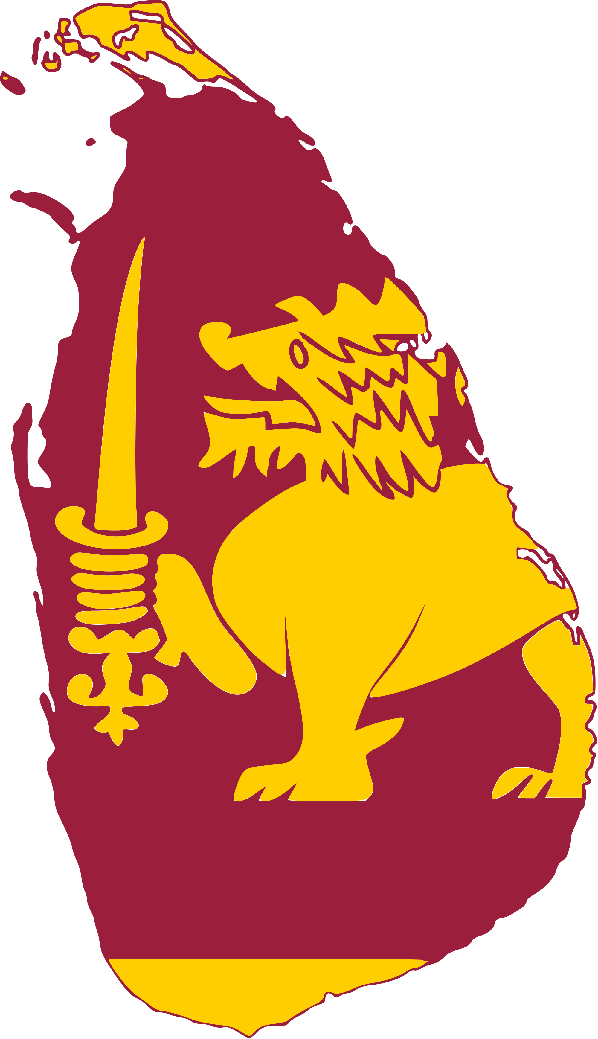 2000x3474 Sri lanka flag, Sri lankan flag
