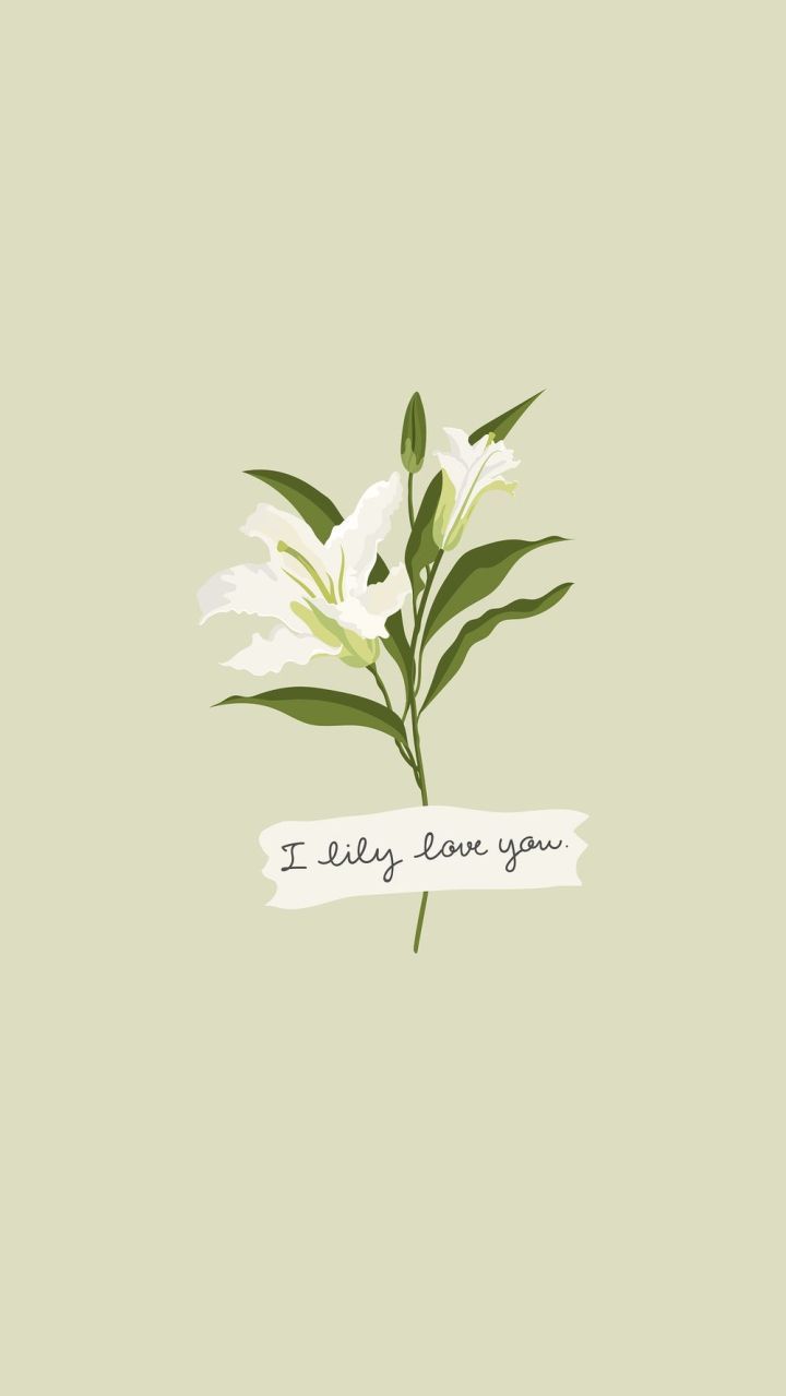 720x1279 White lily iPhone wallpaper, aesthetic