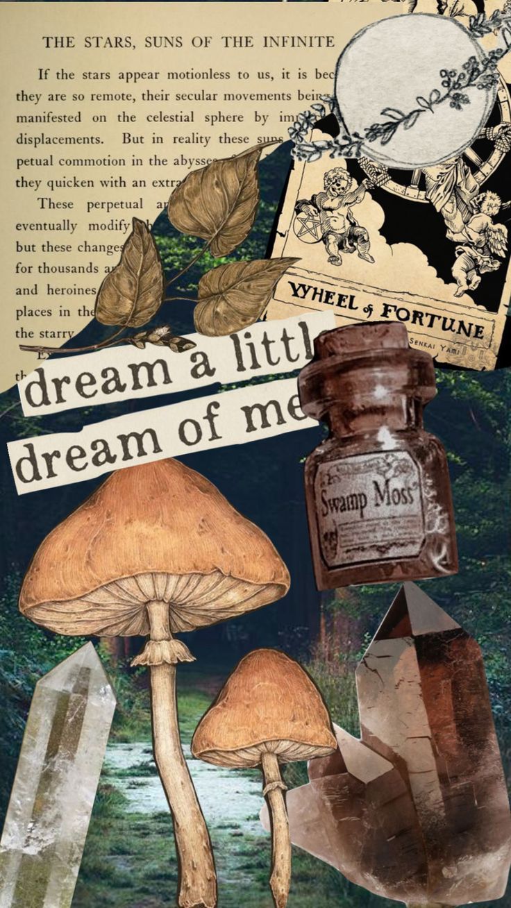736x1308 witchcore #witchyvibes. Witch cottage