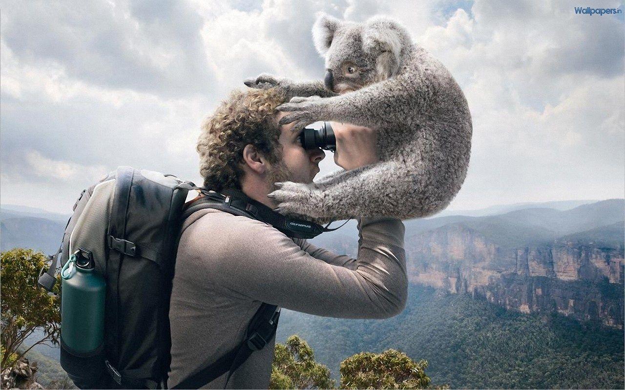 1280x800 TC: Funny Animal Desktop Wallpaper, High Definition Awesome