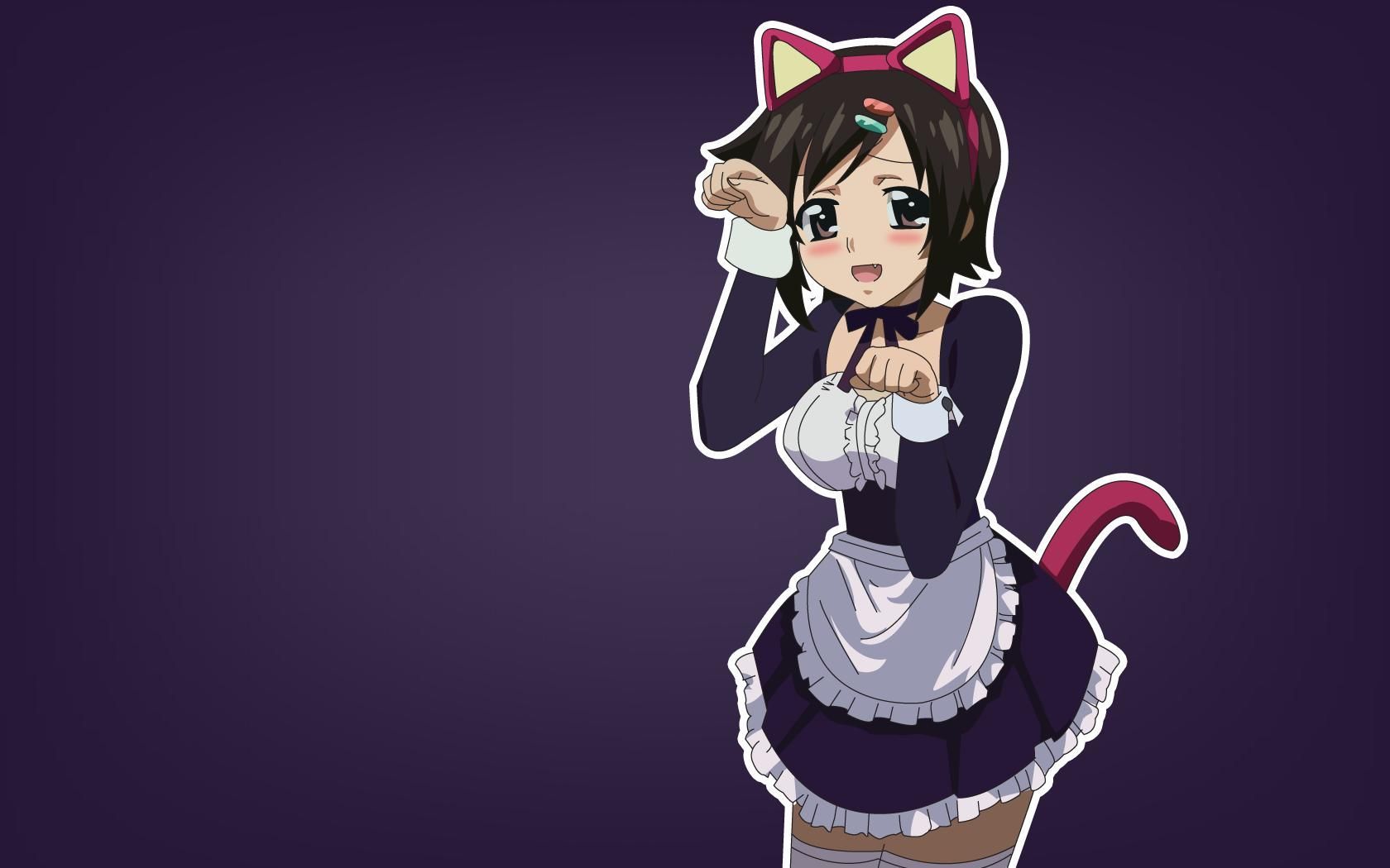 1680x1050 Sakurai Tomoko Tomoki