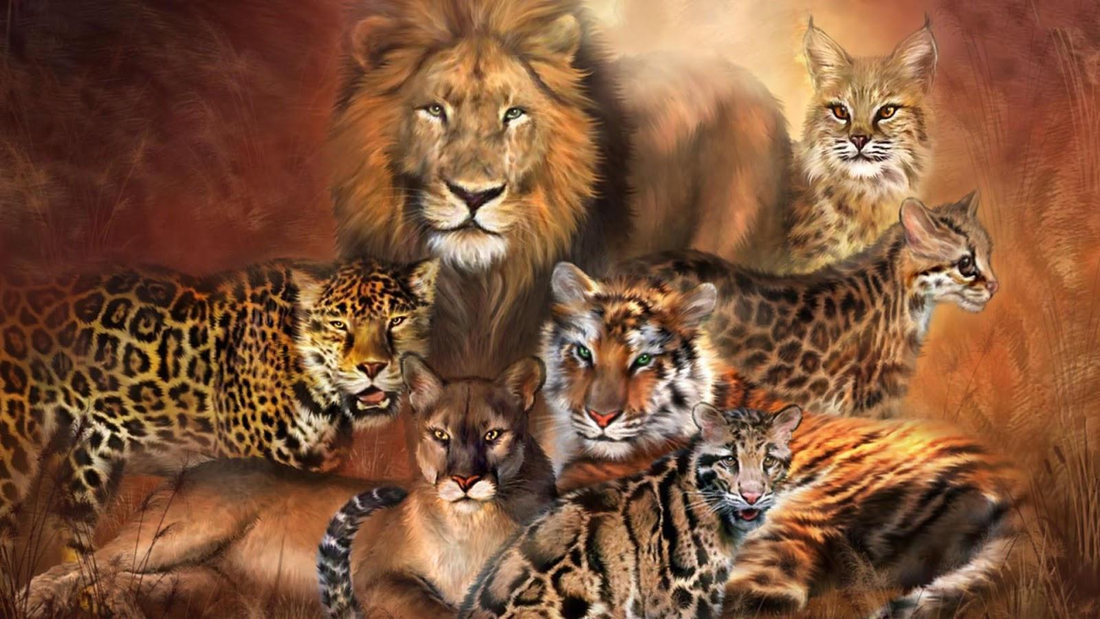 1600x900 Tiger Versus Lion Wallpaper APK pour