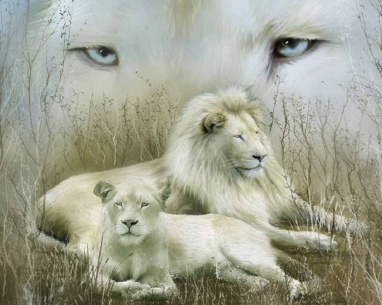 1280x1024 White Lion Wallpaper, Phone