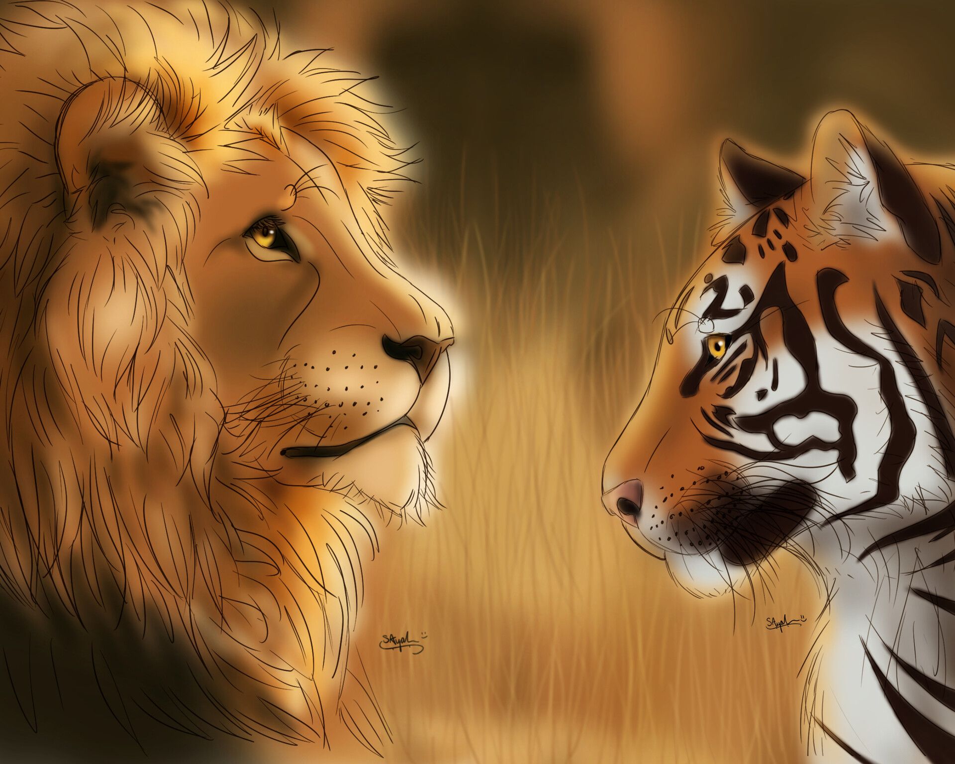 1920x1536 Lion and Tiger
